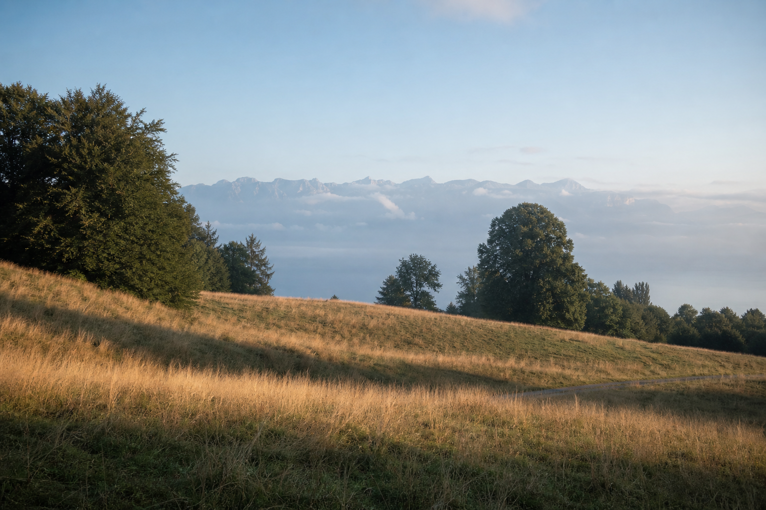 Terrain au calme, proche des services